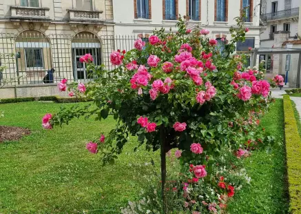Route de la Rose à Montargis