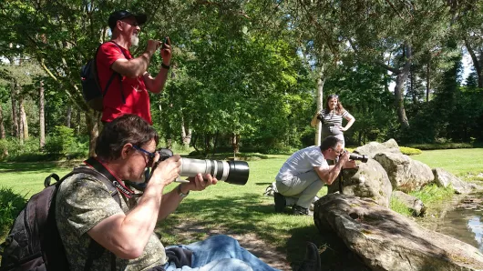 Atelier Photos de jardin - niveau avancé