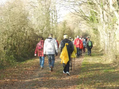 Rando de l'Espoir - Saint Benoit sur Loire vers Germigny des Prés