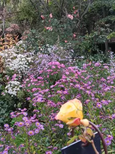 Démonstration de filage du verre au jardin personnel d'André Eve