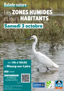 Balade nature : Les zones humides et leurs habitants