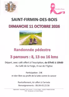 Randonnée pédestre