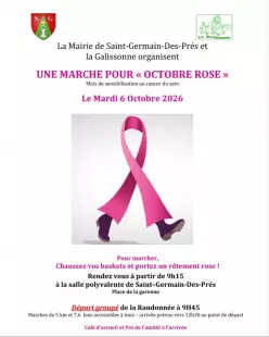 Marche pour Octobre rose