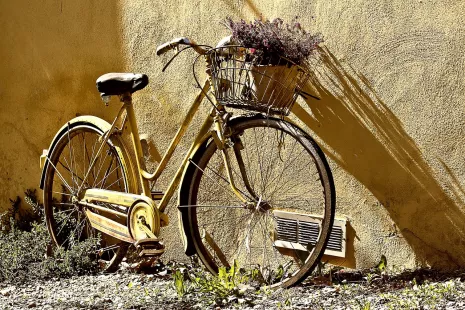 43ème Rassemblement international des amateurs de vélos anciens