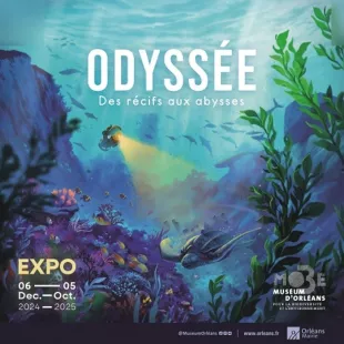 ODYSSÉE, des récifs aux abysses