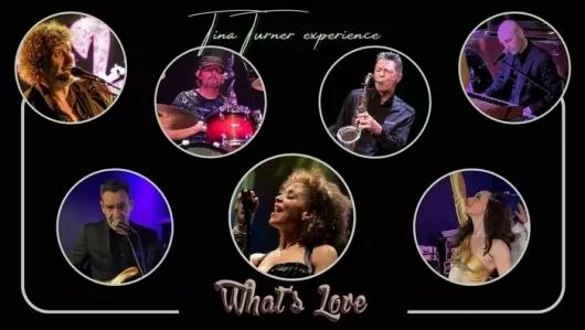 WHAT'S LOVE - TRIBUTE TINA TURNER