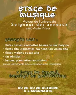 Stage de musique
