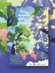 Nuit des forêts