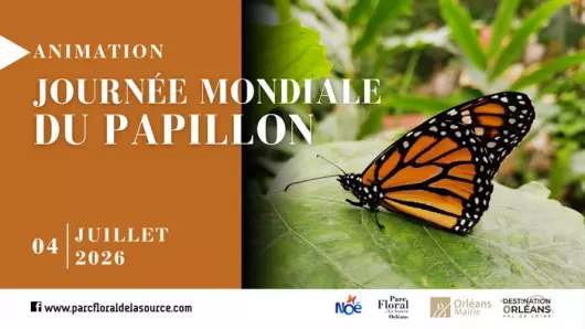Journée Mondiale du Papillon