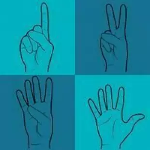 Découverte langue des signes