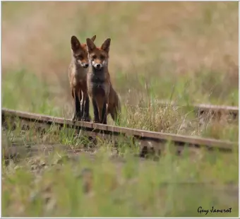 Conférence et séance dédicace