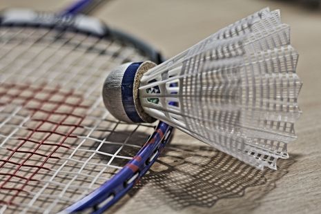 Tournoi Départemental Jeunes - Badminton