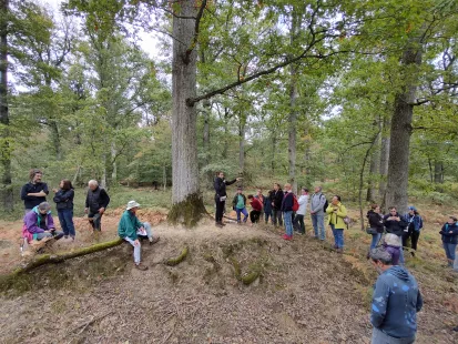 Balade archéologique en Forêt d'Orléans