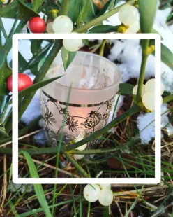 Atelier EVEIL NATURE parents-enfants