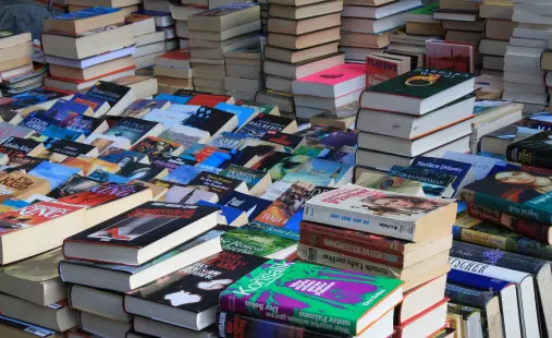 Bourse aux livres : Généalogie Castelneuvienne