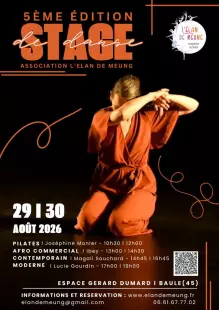 Stage d'été - 5ème édition