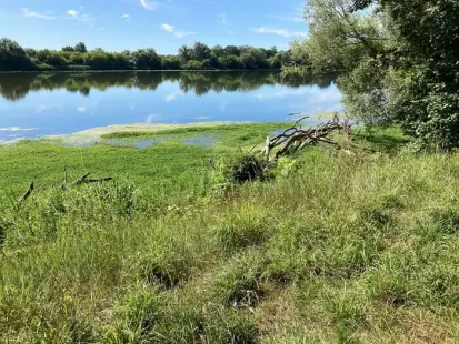 Explorez les bords de Loire à La Chapelle-Saint-Mesmin