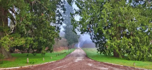 Visite guidée de la forêt par un agent de l'O.N.F.