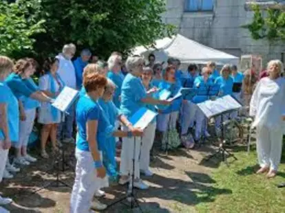Concert au jardin