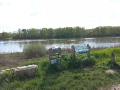 Sur les traces des oiseaux de Loire