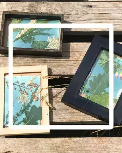 Capturer le temps : Cyanotype et anthotype d’hiver