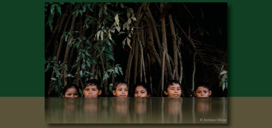 Les gardiens de l'Amazonie