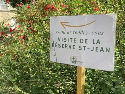 Visite guidée de la réserve Saint-Jean : les Dictionnaires