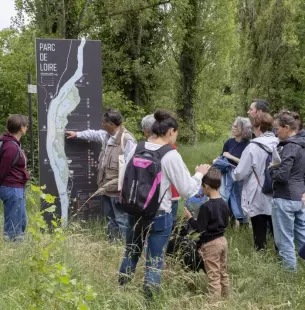 Balade découverte de la biodiversité du parc de Loire