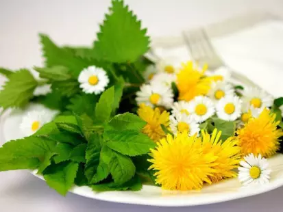 Plantes qui nourrissent et plantes qui soignent