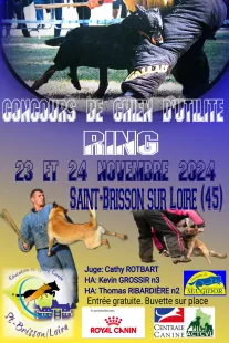 Concours de chien d'utilité Ring