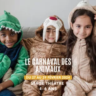 Stage 4-6 ans : Le carnaval des animaux !