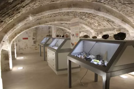Visites guidées du musée de la Préhistoire