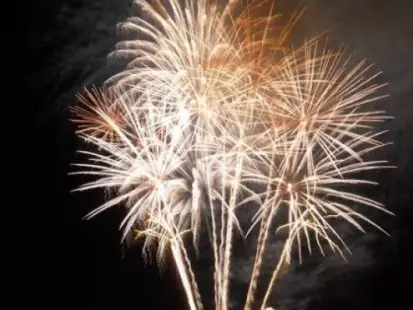 Pique-nique géant et feu d'artifice