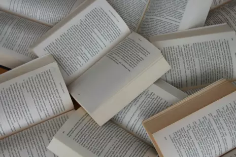 Salon du livre de l'Agglomération Montargoise