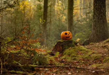 SORTIE NATURE - Halloween à l'espace naturel sensible