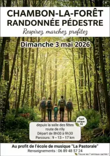 Randonnée pédestre - Respirez, marchez, profitez