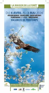 Animation Chouettes et Hiboux