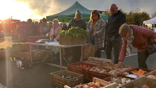 Marché des producteurs d’octobre