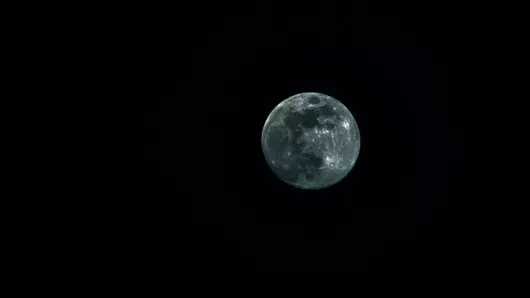 Sortie naturaliste accompagnée : Courpain, la nuit