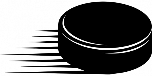 Tournoi de palets vendéens