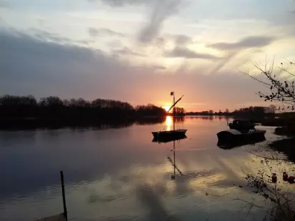 Matinales en Loire : Pastoralisme