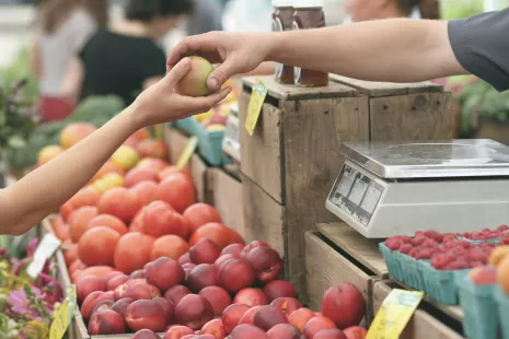 Marché d'Ouzouer sur Loire - Dimanche