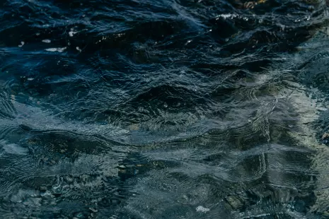 Exposition de photographies 