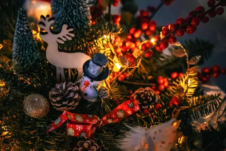 Marché et ferme de Noël