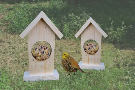 Atelier nature de 3/ 6 ans : Mangeoires à oiseaux