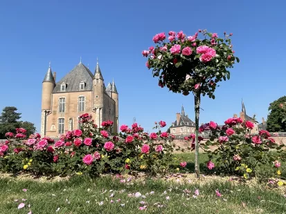 Foire aux Rosiers