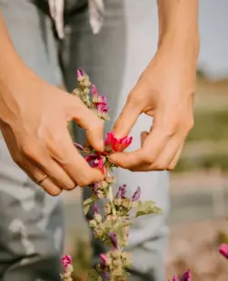 Voyage sensoriel au cœur des plantes