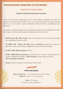 L'école de la forêt - session d'automne