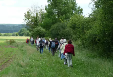 Balade gourmande autour des Coteaux du Giennois