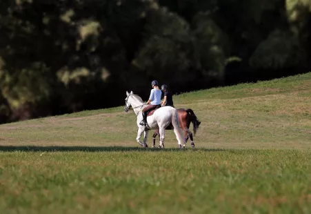 TREC de la Ménigaudière : randonnée équestre